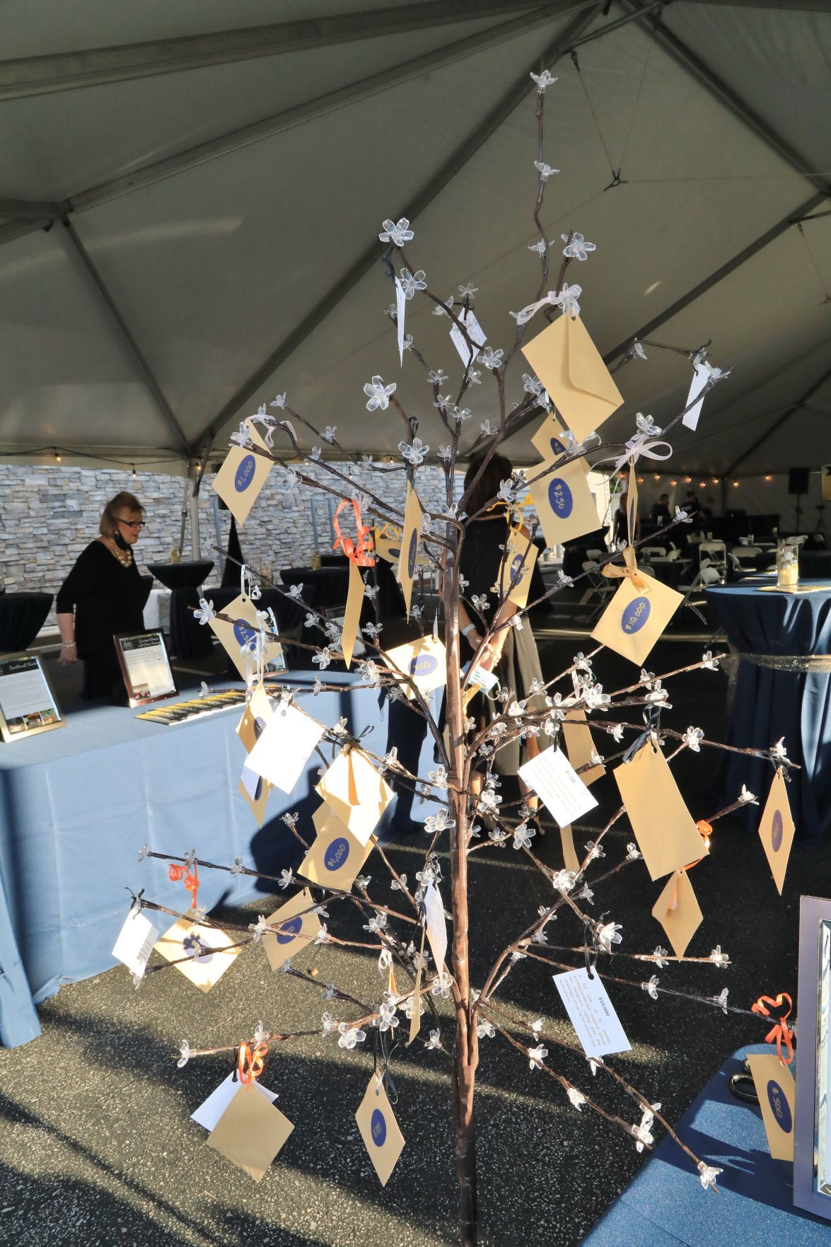 Cancer Support Community of Greater St. Louis’ Hope After Dark Gala